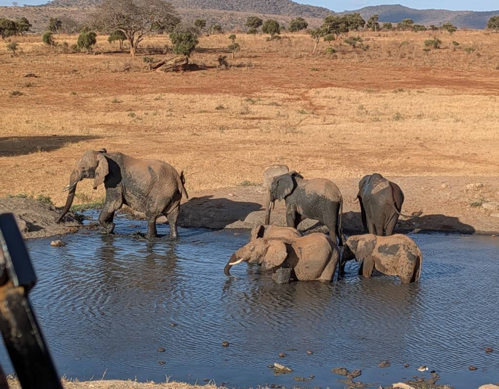 野生動物との共存支援サークル　えれふぁんと