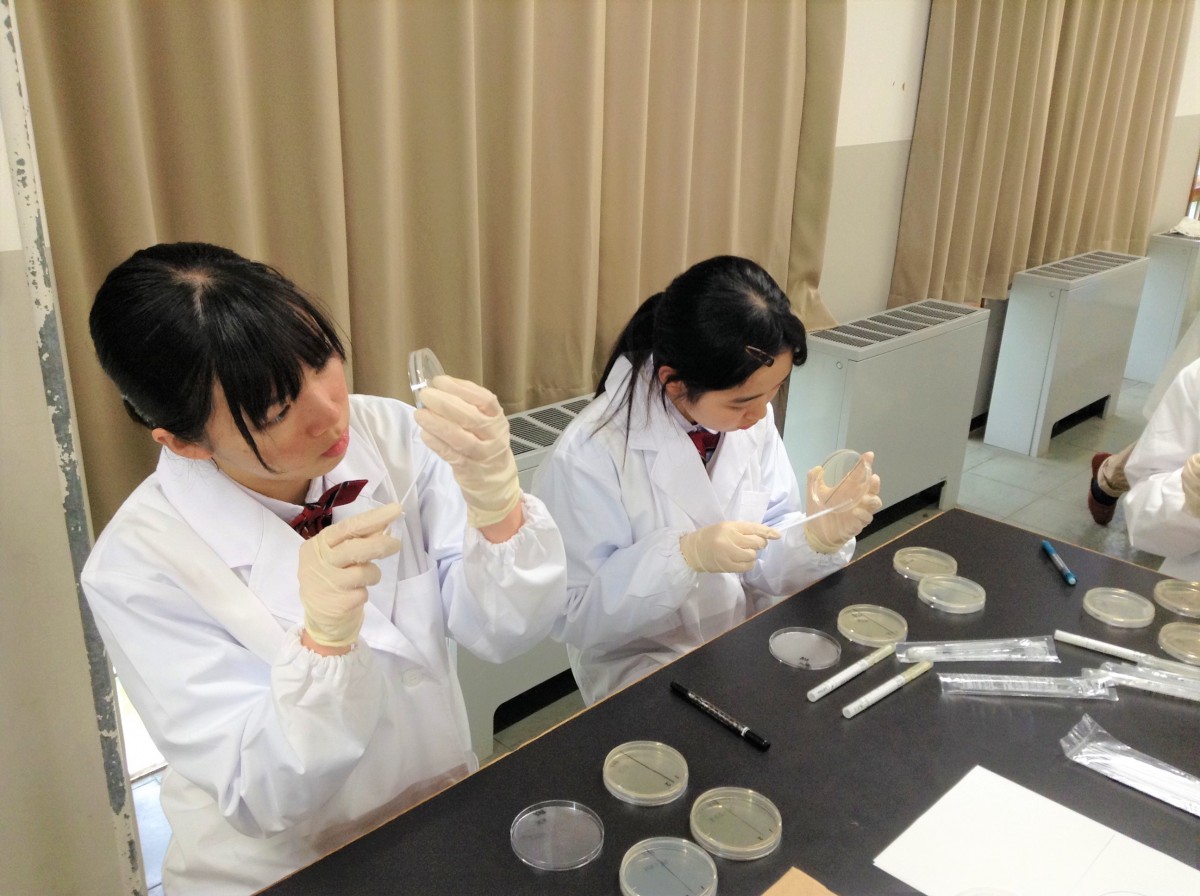 「薬剤耐性（AMR）対策推進国民啓発会議」で耐性菌に関する高大連携教育を紹介