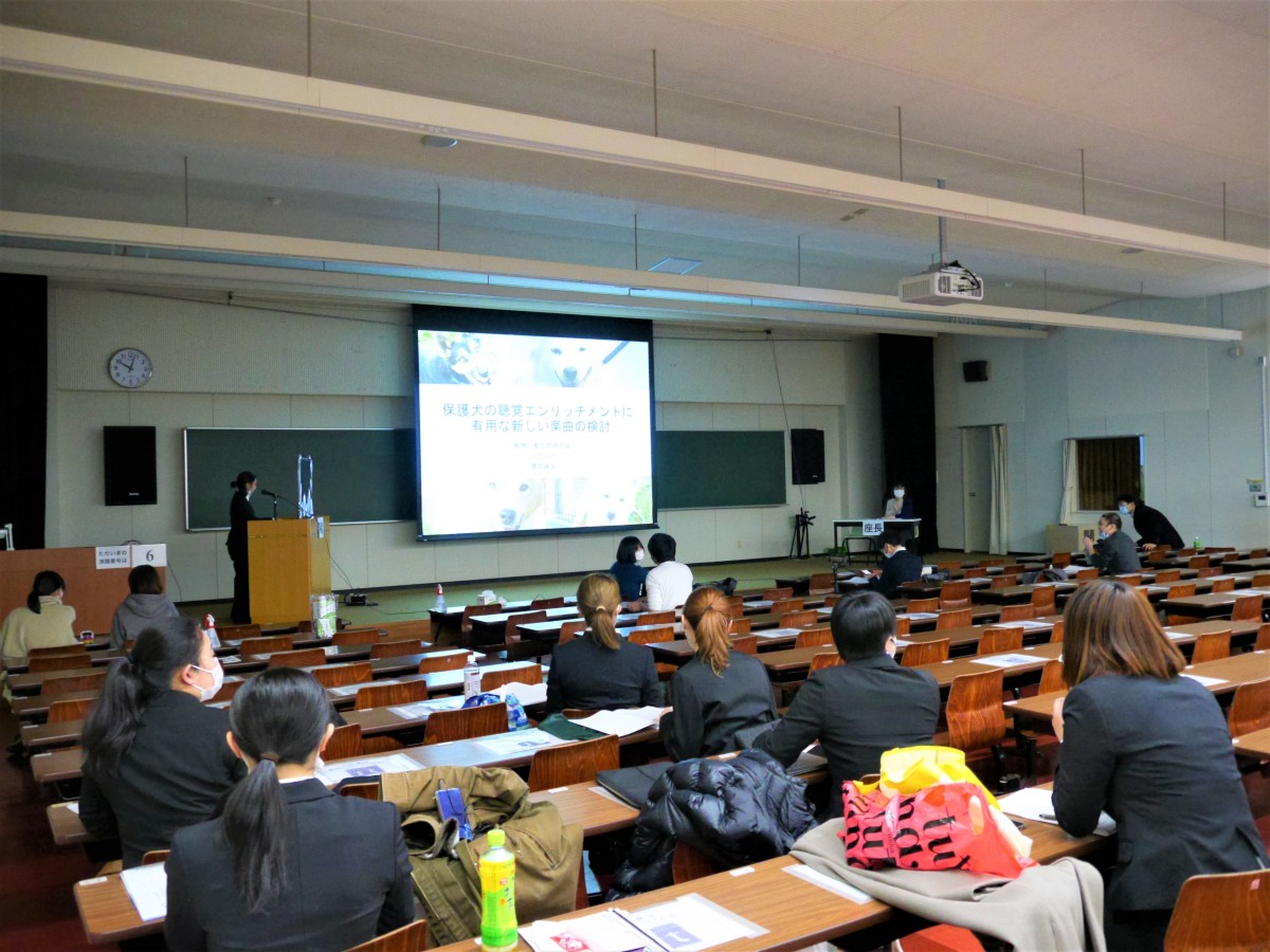 2020年度卒業論文発表会を開催しました