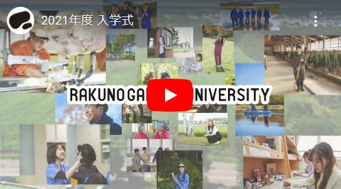 2021年度入学式のライブ配信について