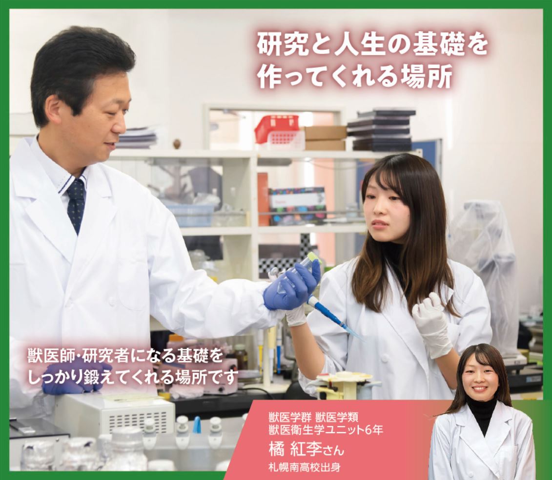 7月10日付の北海道新聞朝刊に本学獣医学群の学生・大学院生が登場する広告が掲載されました