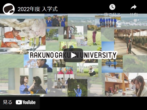 2022年度入学式のライブ配信について