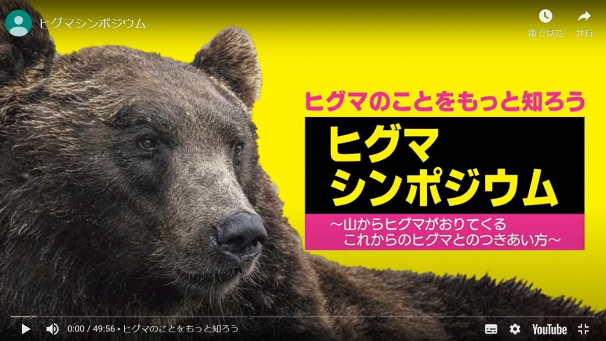 ヒグマシンポジウム基調講演に佐藤喜和教授が登壇しました（動画あり）
