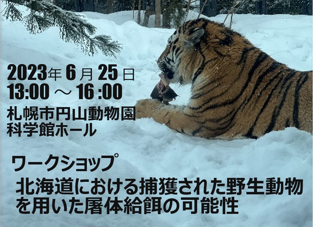 ワークショップ［北海道における捕獲された野生動物を用いた屠体給餌の可能性］のお知らせ