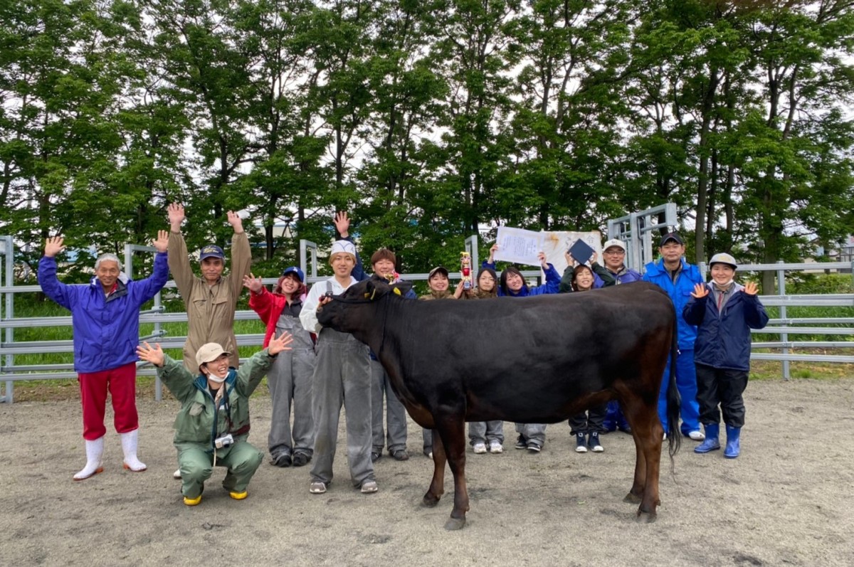 令和5年度江別黒毛和種共励会の経産牛部で最高位賞を受賞