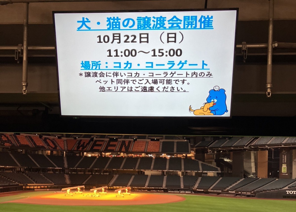 北海道ボールパークFビレッジにおいて、保護犬猫の譲渡会が行われました。