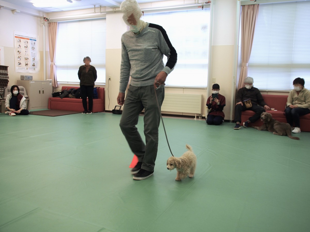 酪農学園大学 獣医保健看護学類が犬のしつけ教室を開催