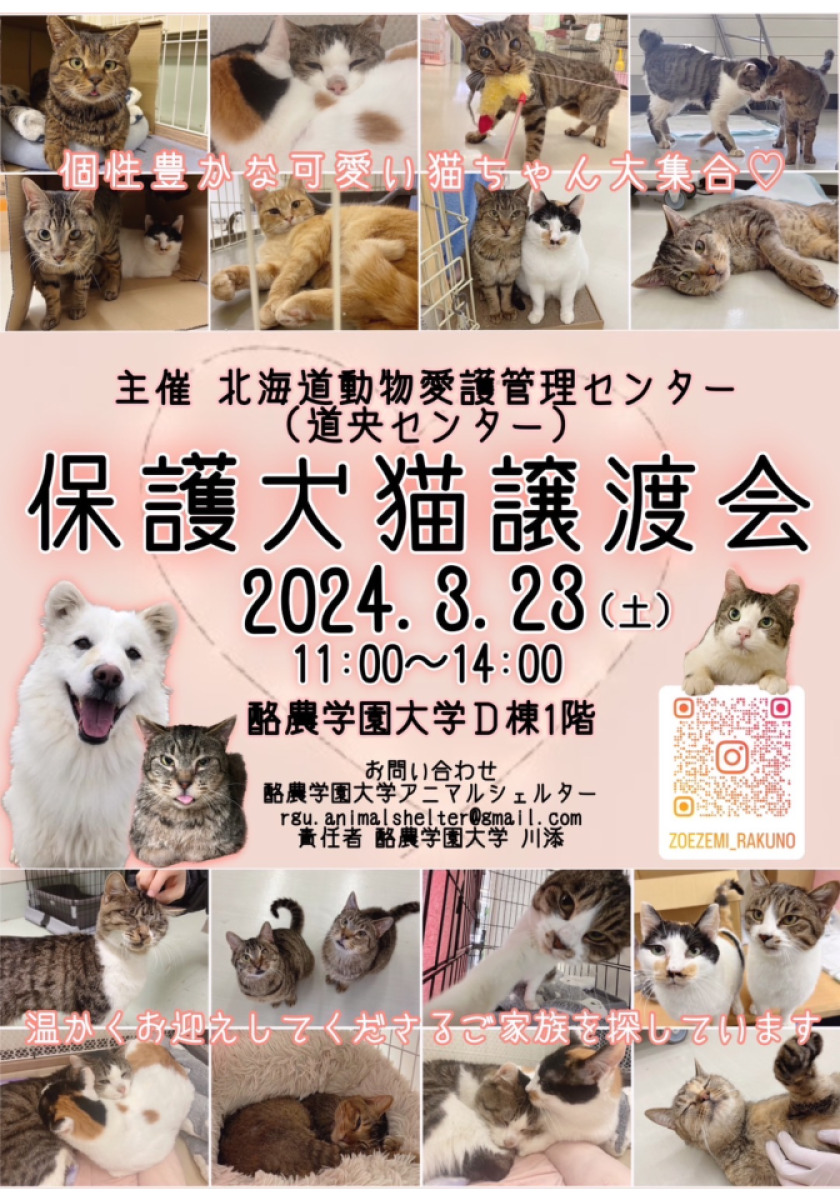 【お知らせ】保護犬猫の譲渡会開催のお知らせ