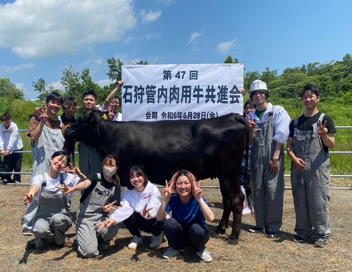 第47回石狩管内肉用牛共進会で未経産牛と経産牛で最高位賞を受賞