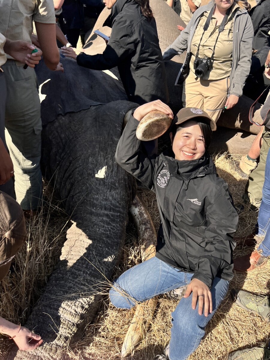 チャレンジする学生 「SYMCO」南アフリカ研修に参加～ 獣医学類5年山城真緒さん