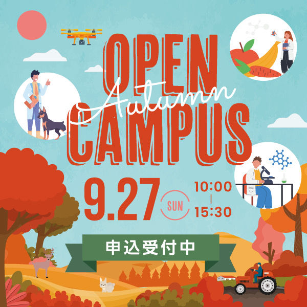 オープンキャンパス（北海道・本学開催）