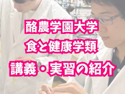 食と健康学類 YouTubeショート動画「実習シリーズ」を公開