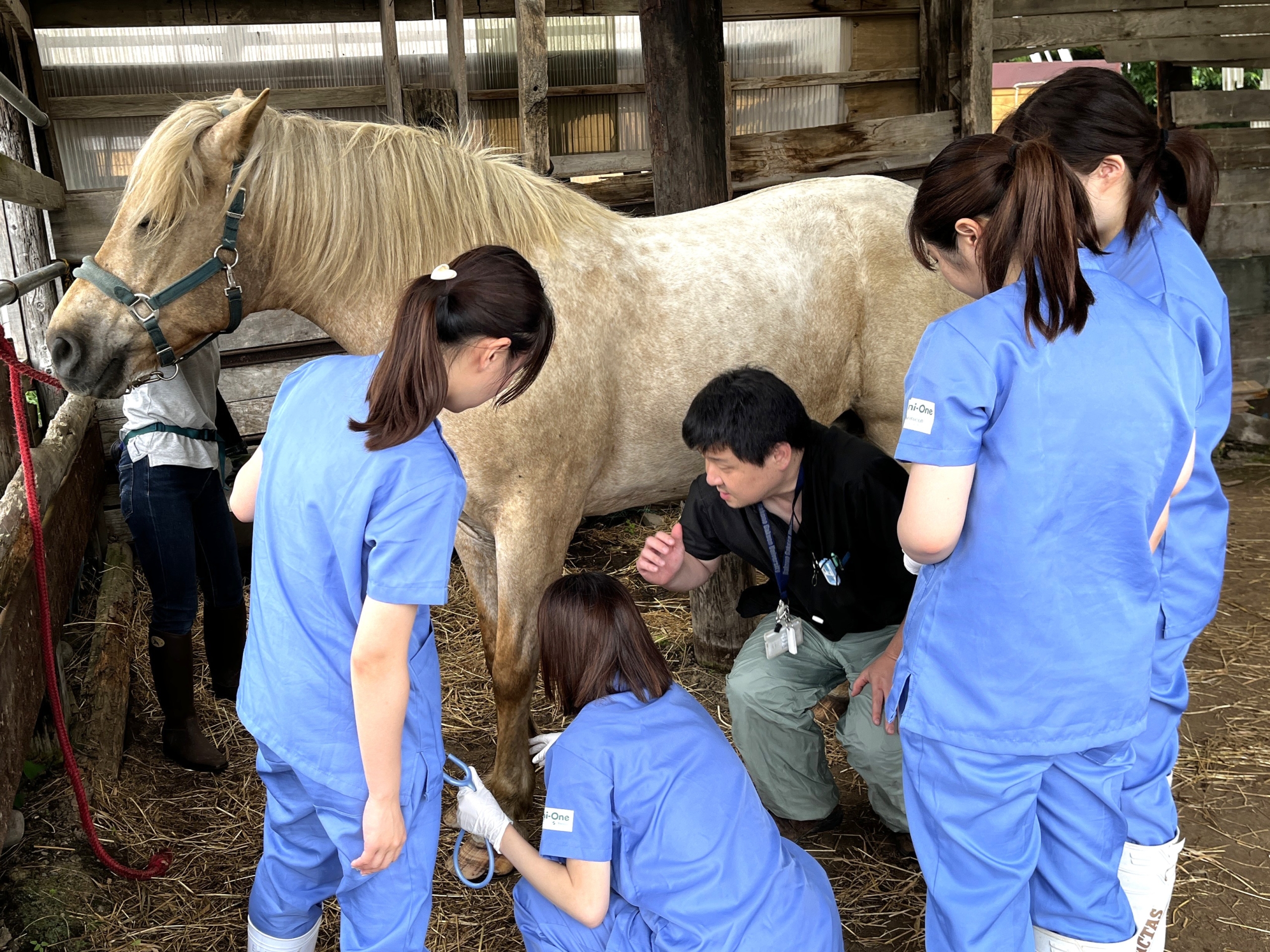 馬医療の最前線で学ぶ ― 専門性と現場力を育てる教育とは ―（獣医学類 馬医療学ユニット 都築直准教授、森山友恵 講師）