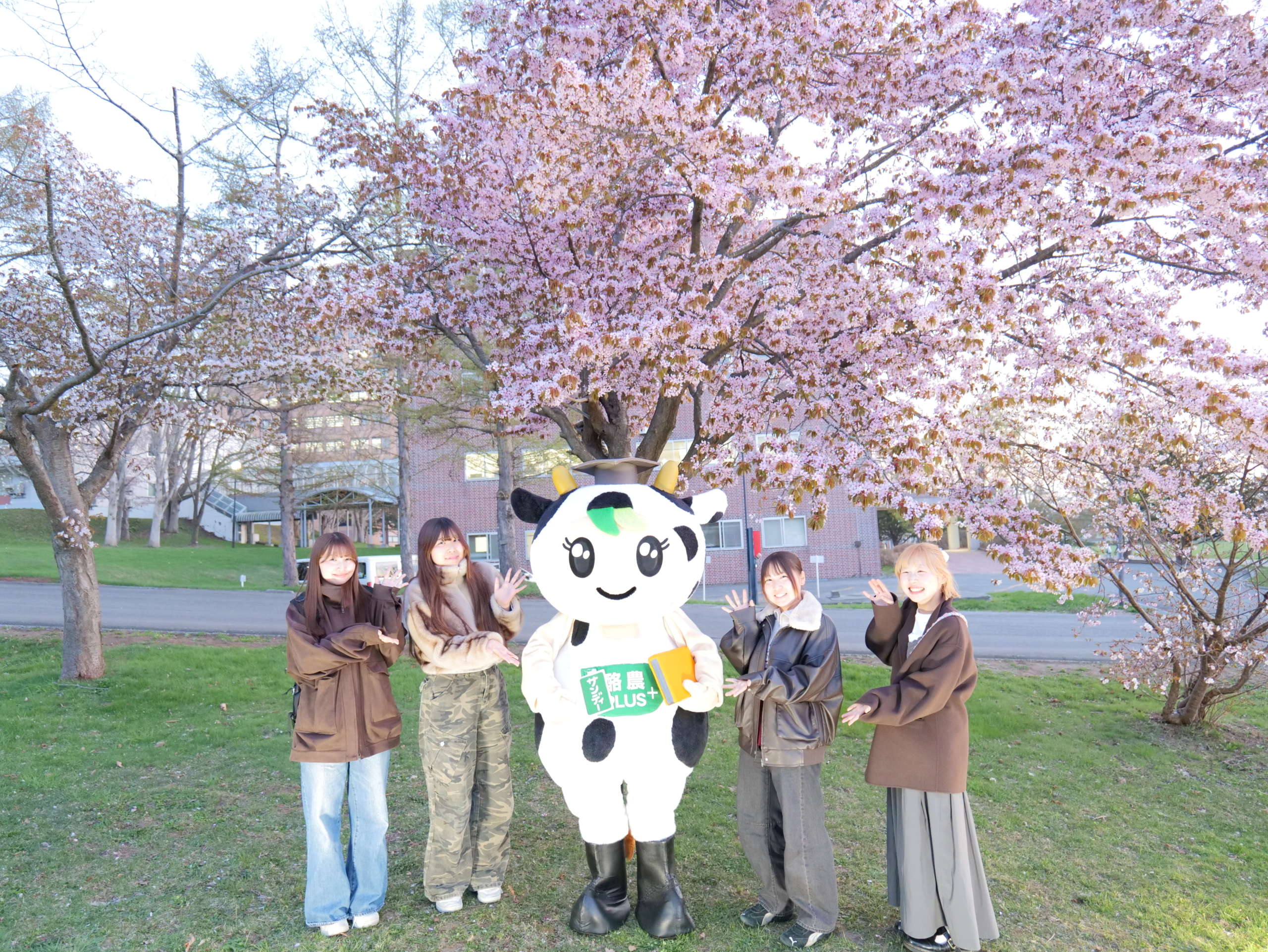 本学放送局が夜桜ライトアップを実施しました