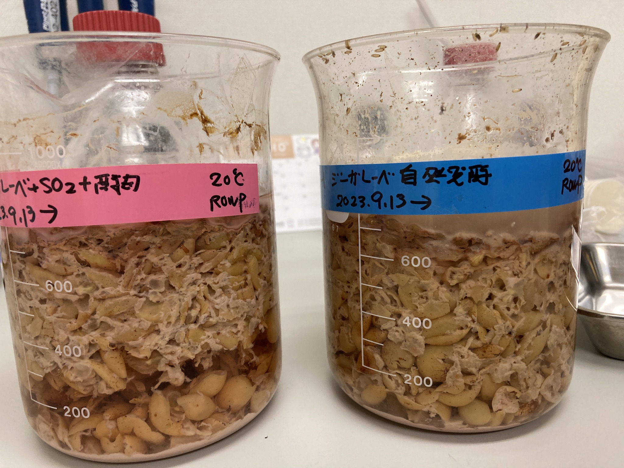 酪農学園大学におけるワイン研究の強化について　―道総研 食品加工研究センターとの連携に関するお知らせ―