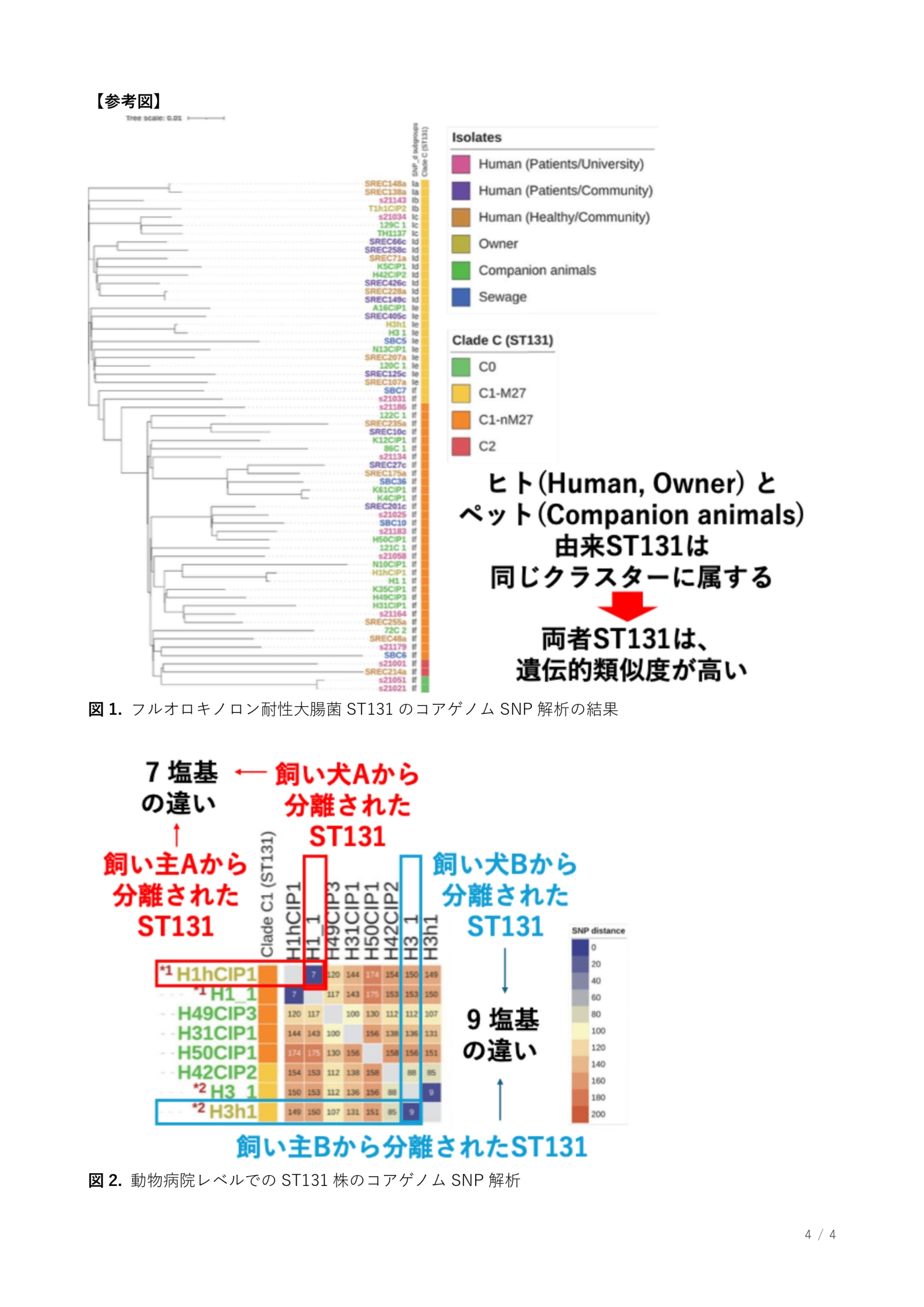 地域社会の中で広がる薬剤耐性大腸菌パンデミッククローンの拡散動態を解明～ヒトとペット間での家庭内伝播を含め、地域から世界的な流行への繋がりを明らかに～（獣医学類 食品衛生学ユニット）
