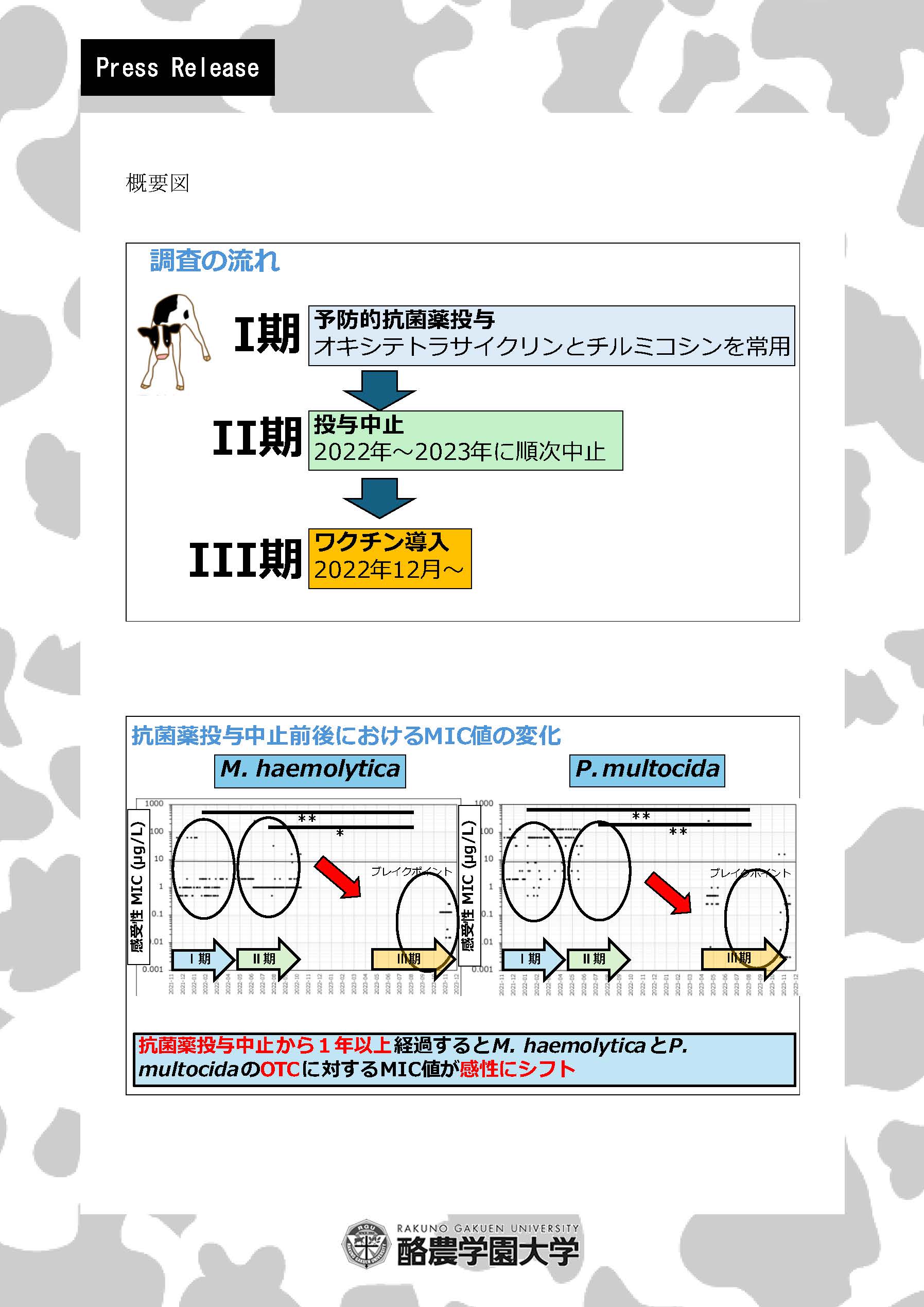 子牛の予防的な抗菌薬投与を中止することで、抗菌薬の有効性が回復することを実証！-国内農場で初の実証、耐性率は最大75％から6％まで低下-（獣医学類 食品衛生学ユニット）