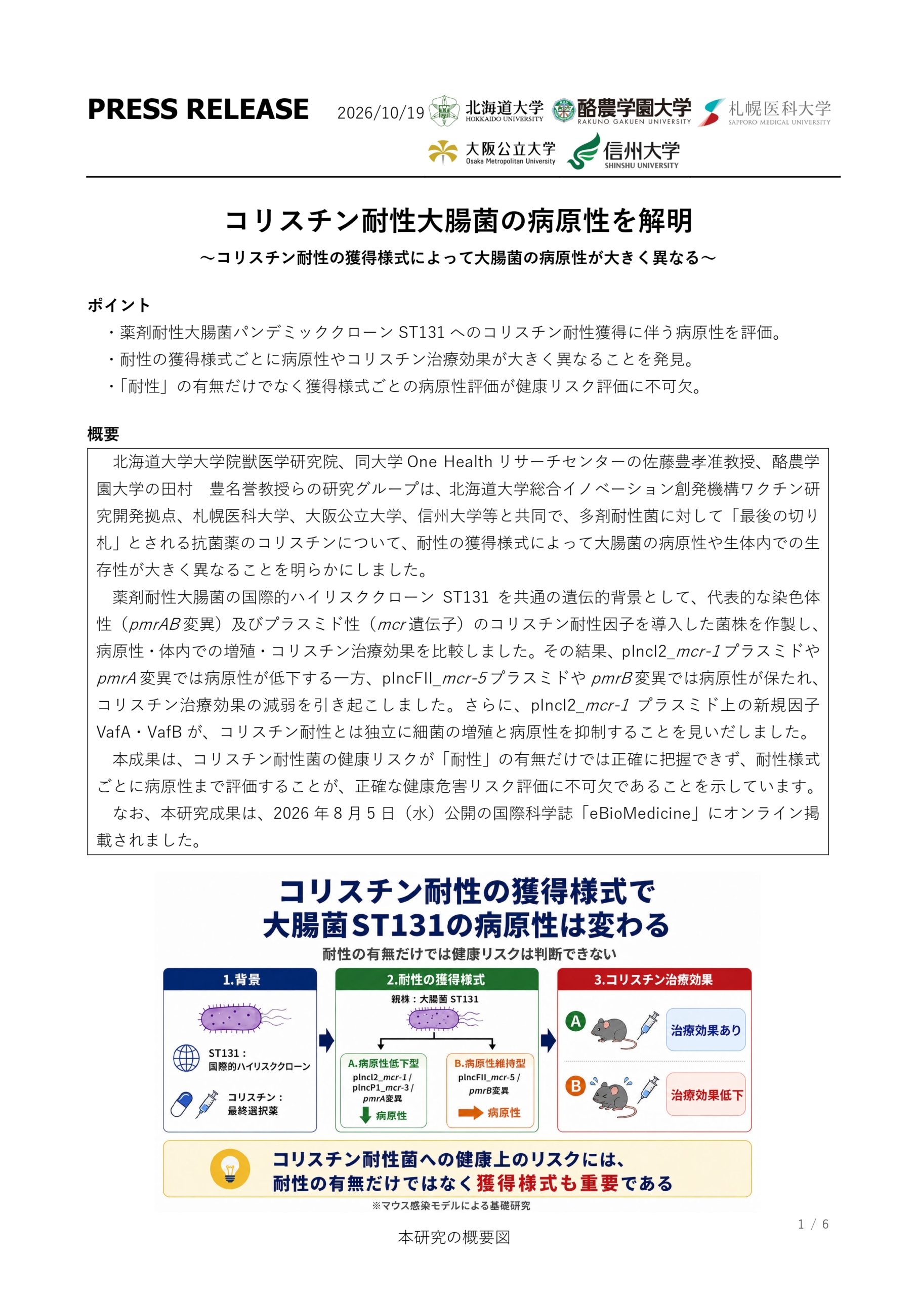 コリスチン耐性大腸菌の病原性を解明〜コリスチン耐性の獲得様式によって大腸菌の病原性が大きく異なる〜